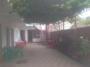 Guest house Antiei